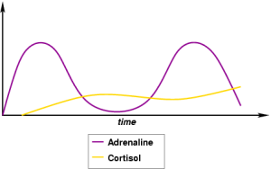 Cortisol levels after steroid cycle